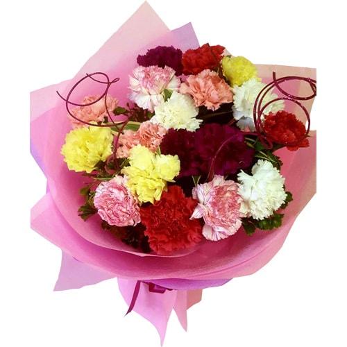 Carnation Bouquet 1 - Redflowersngifts.com