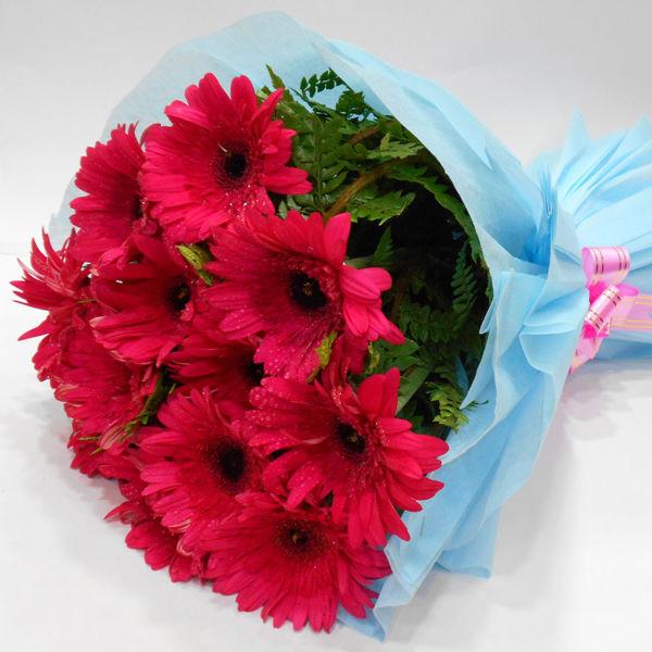 Gerbera Bouquet 8 - Redflowersngifts.com